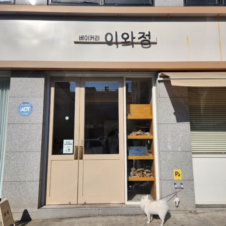 [충주카페] 이와정 빵이 진짜 맛잇어여, 소금크로와상 달인