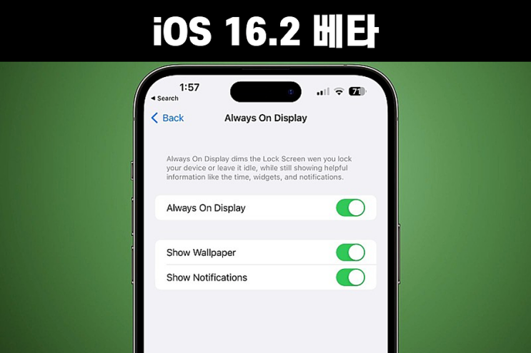iOS 16.2 베타 :: 아이폰14프로 AOD, 다이나믹 아일랜드 변경