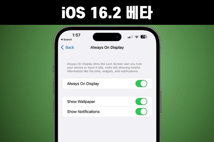  iOS 16.2 베타 :: 아이폰14프로 AOD, 다이나믹 아일랜드 변경