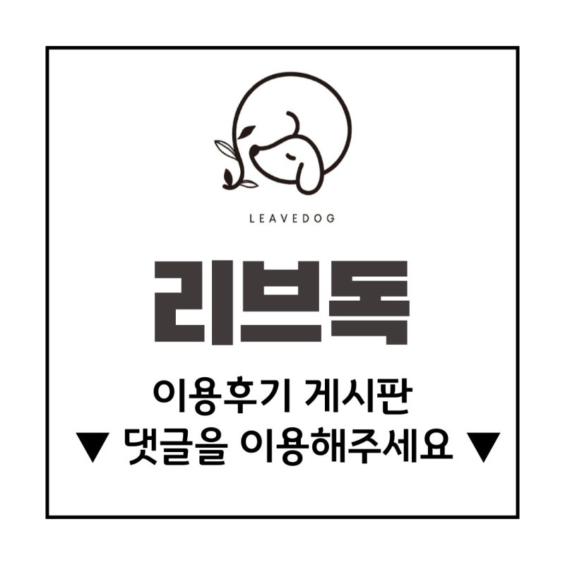 사진 5