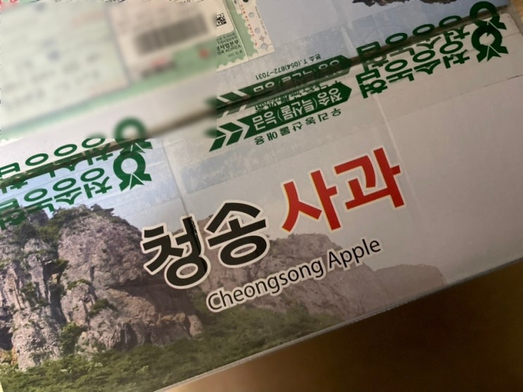  오빠와 사과2_아삭아삭 청송사과 선물로 받다. 2