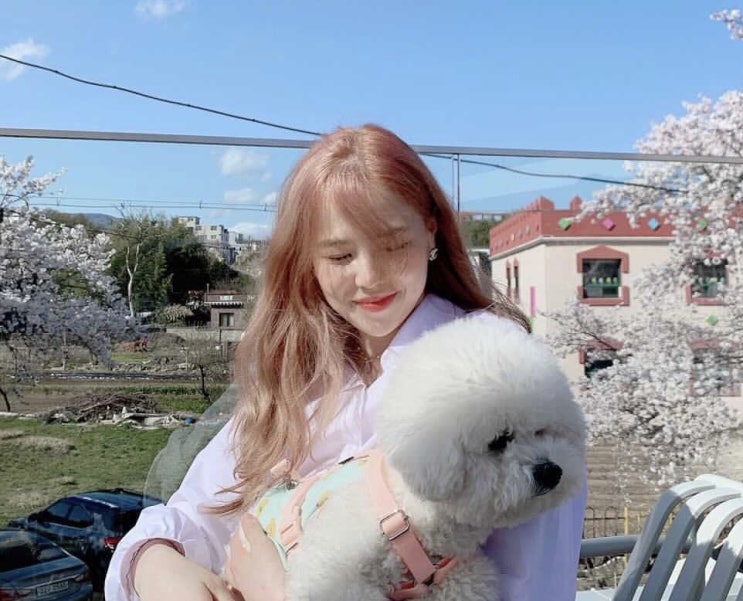  울산 삼산동 미용실 리안샵 첫방문 이벤트 추천