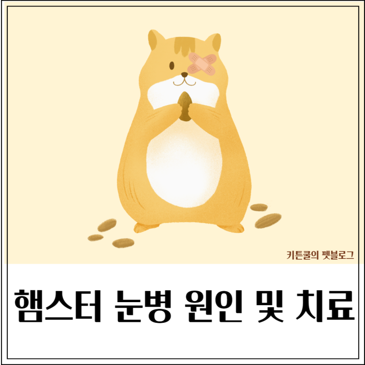  햄스터 눈병, 눈물 원인 및 치료방법