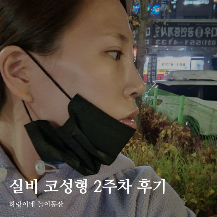  기능코 비염 수술 2주차 모양 증상