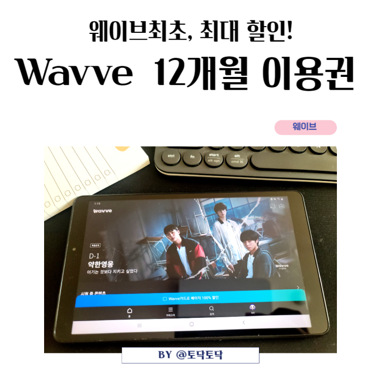 Wavve 웨이브 12개월 이용권 할인 실속만점 연말선물 추천