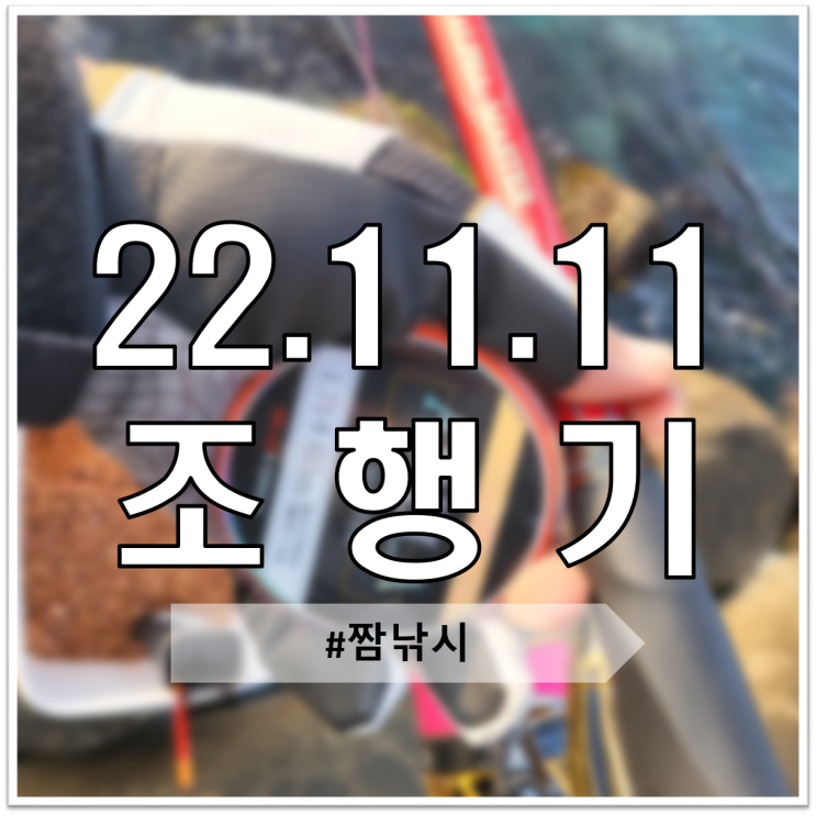  11월 11일 조행기 (짬낚시,)