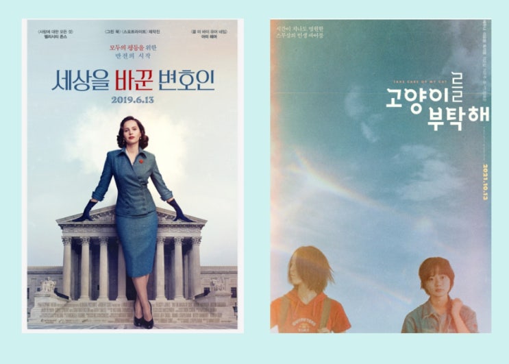  세상을 바꾼 변호인 고양이를 부탁해 수능 끝난 수험생들에게 추천하는 영화