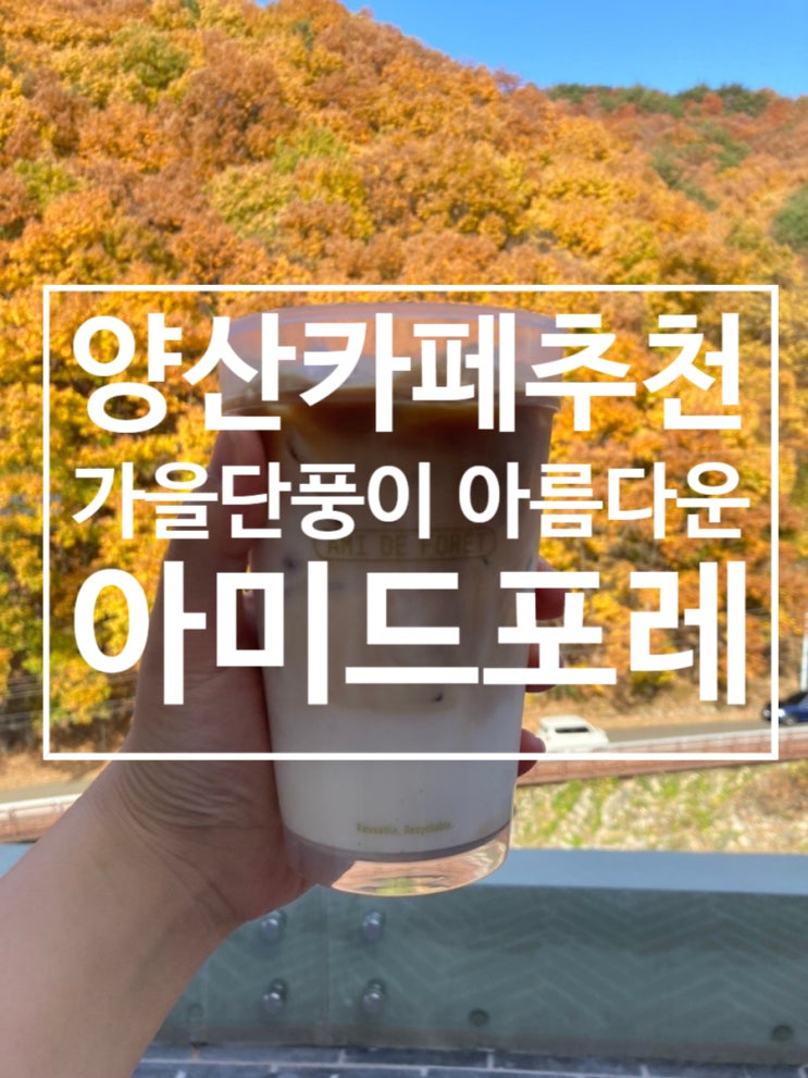  양산카페 추천 아미드포레 가을풍경이 아주멋진 카페
