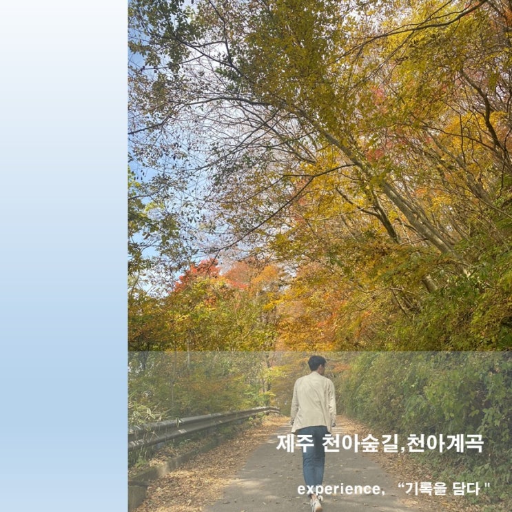  제주 천아숲길,천아계곡-한라산 둘레길의 단풍명소에 다녀오다.