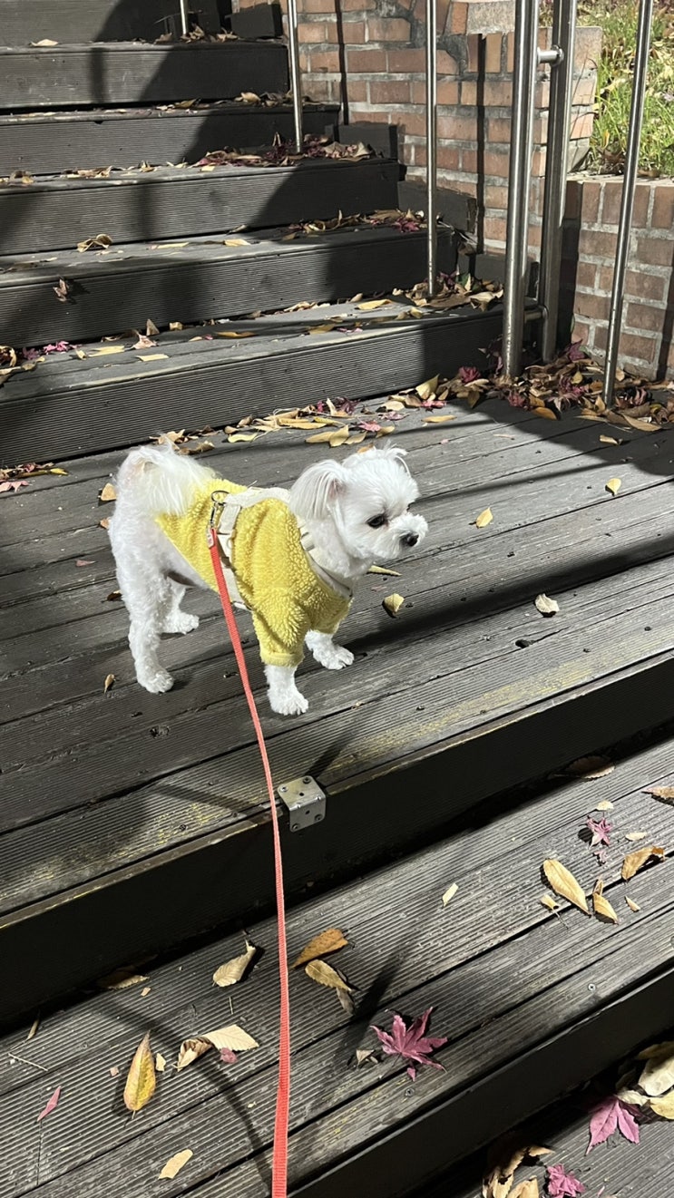  11/17