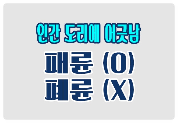 헷갈리는 맞춤법 패륜 O 폐륜 X 인간의 도리에 어긋날 때 헷갈리는 맞춤법 패륜 O 폐륜 X 인간의 도리에 어긋날 때