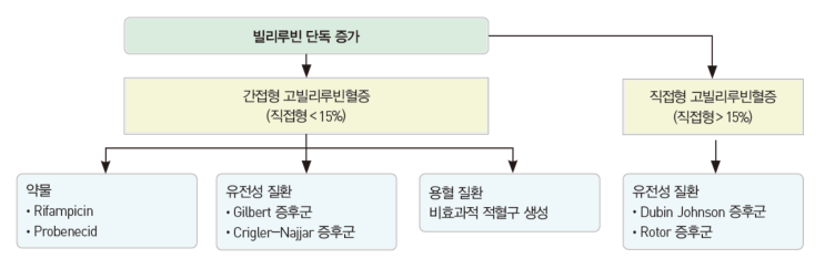  황달(Jaundice, 고빌리루빈혈증) - 원인 및 감별진단: 결합/비결합, 빌리루빈 Bilirubin, hepatocellular, ALP, AST, ALT, 간세포, 담즙정체