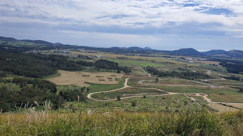 공직자 내부 행정통신망에서 피해자를 비방할 목적의 명예훼손 적기 견책 처리