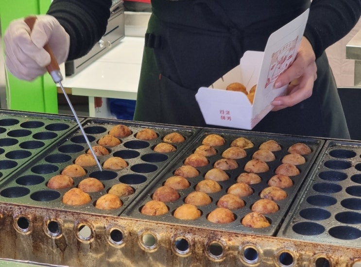  충장로 타코야끼 혼타코 내돈내산 후기 가성비 맛집으로 추천