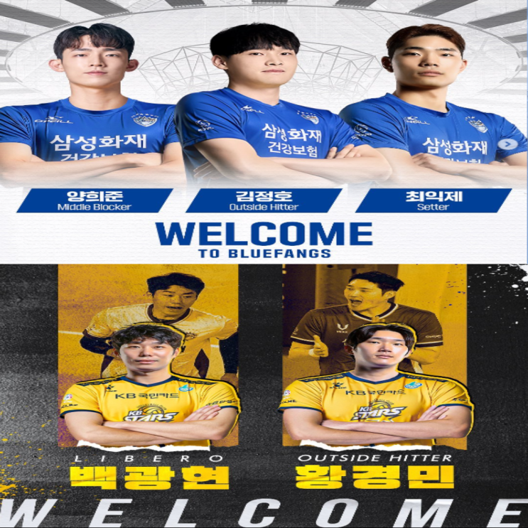 KB손해보험 삼성화재 3:2 트레이드, 왜??(김정호 양희준 최익제 황경민 백광현, 니콜라, 고준용, 트레이드 이유, 손익, 분위기전환, 리빌딩)