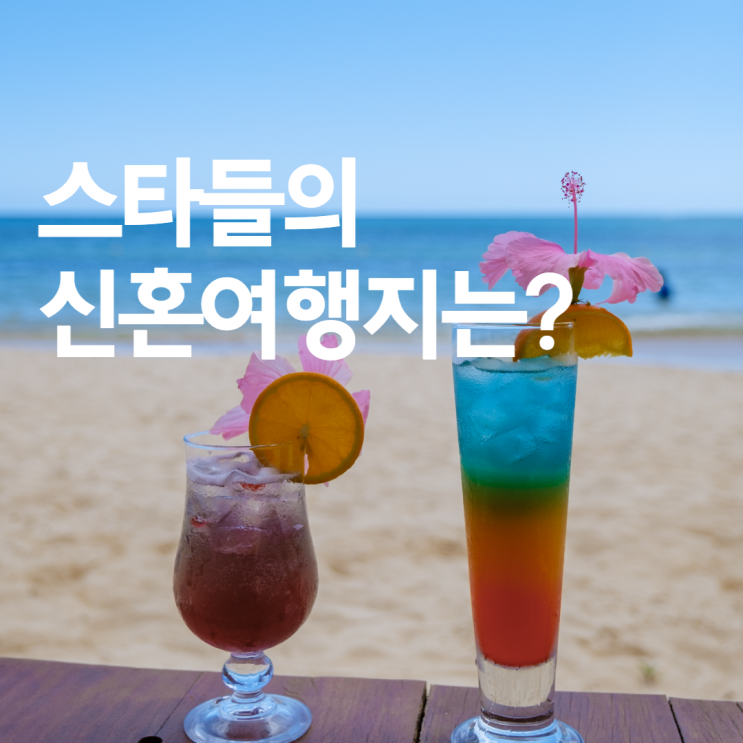  현빈&손예진, 손연재, 빈지노... 스타들의 신혼여행지는?