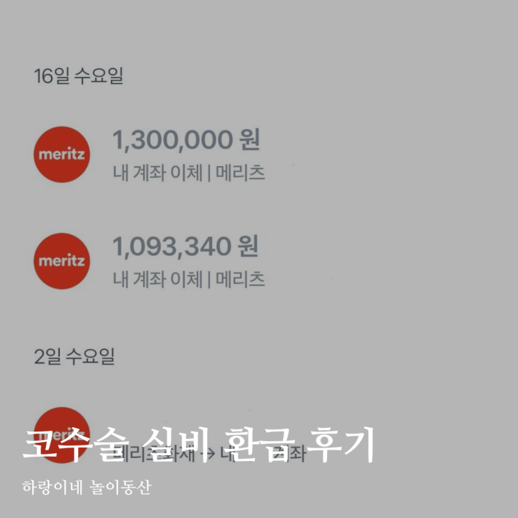  기능코 실비 메리츠화재 보험 환급 미용코 성형 제외
