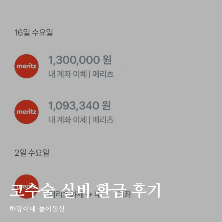 기능코 실비 메리츠화재 보험 환급 미용코 성형 제외