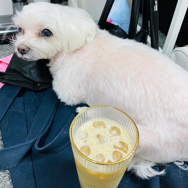  바나나우유라떼 뚱바라떼 커피