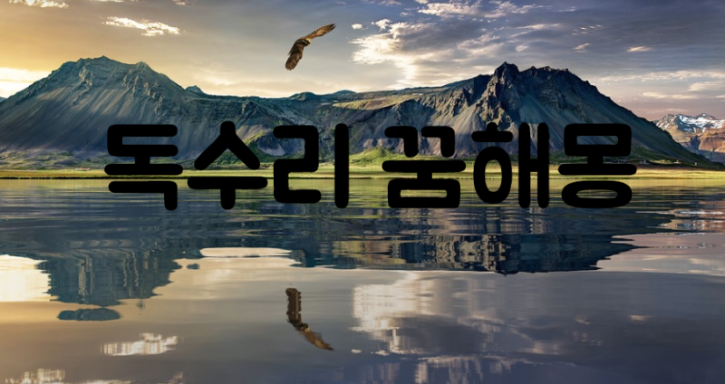 독수리꿈 독수리꿈해몽 독수리나오는꿈 풀이
