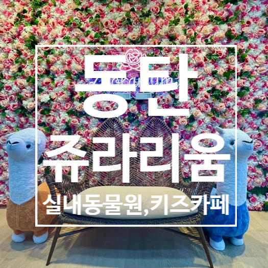  [동탄] 쥬라리움, 실내동물원과 키즈카페 동탄아이와갈만한곳