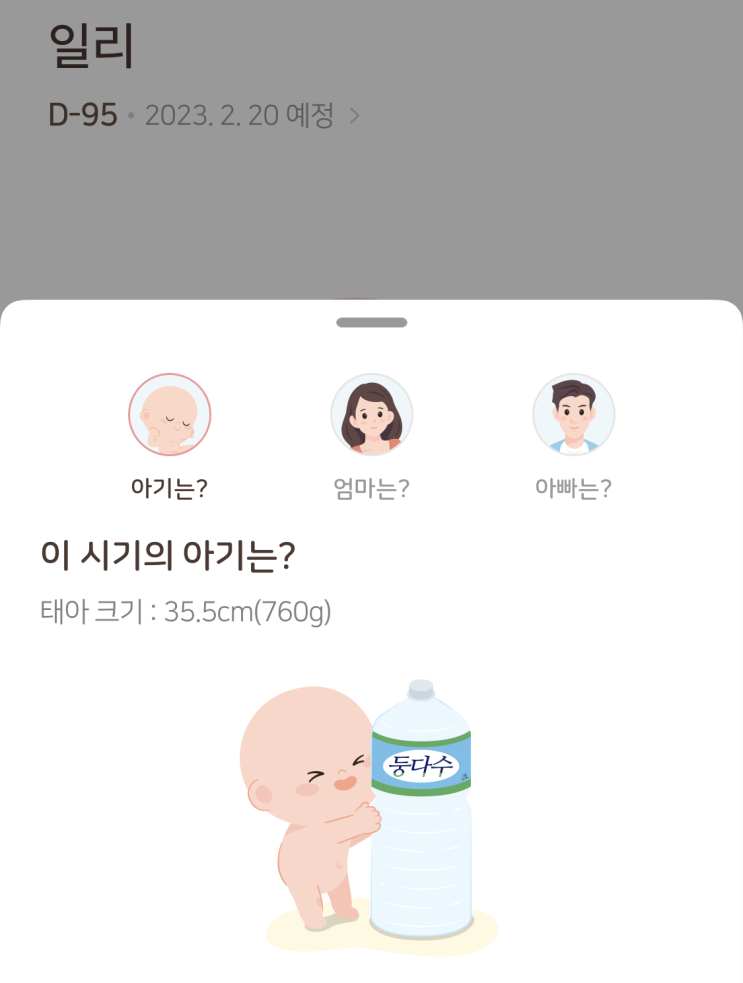  일리의 26주