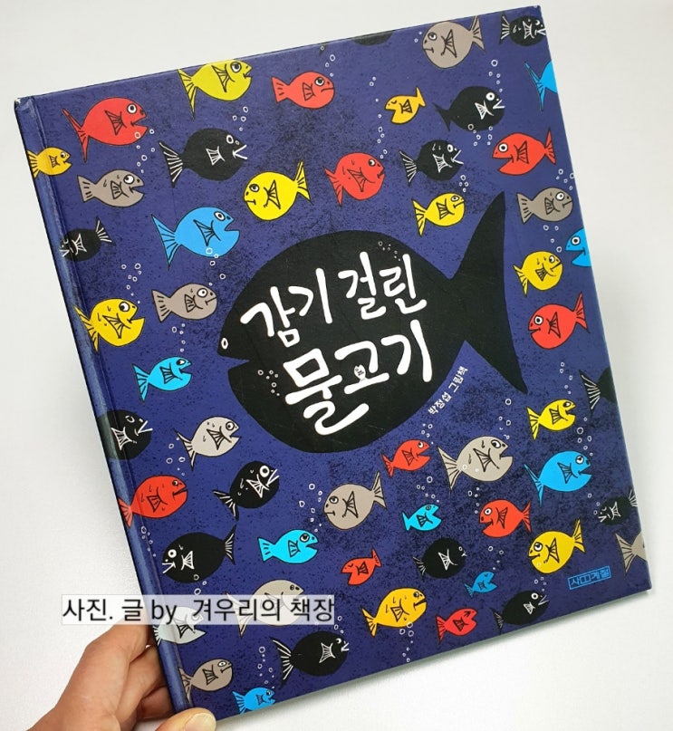  감기 걸린 물고기. 거짓 소문 그리고 진실