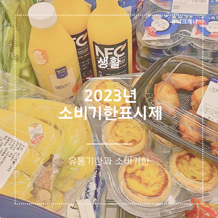  2023년 소비기한 표시제 유통기한 대처 시행