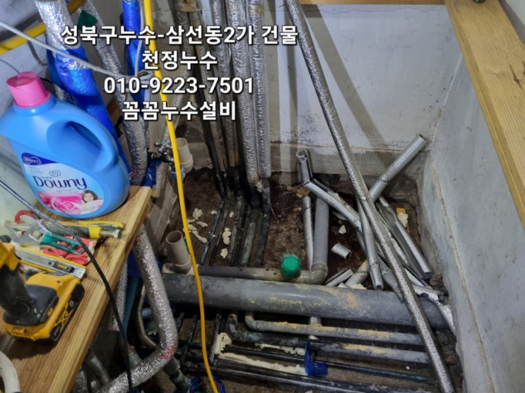  성북구누수-삼선동2가건물 천정누수
