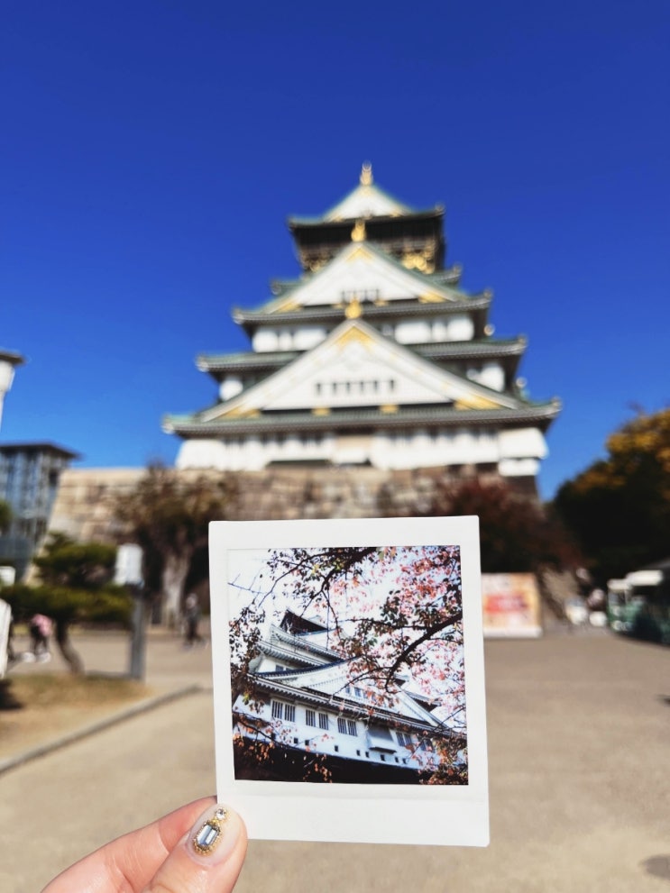 힘들다... #주간일기