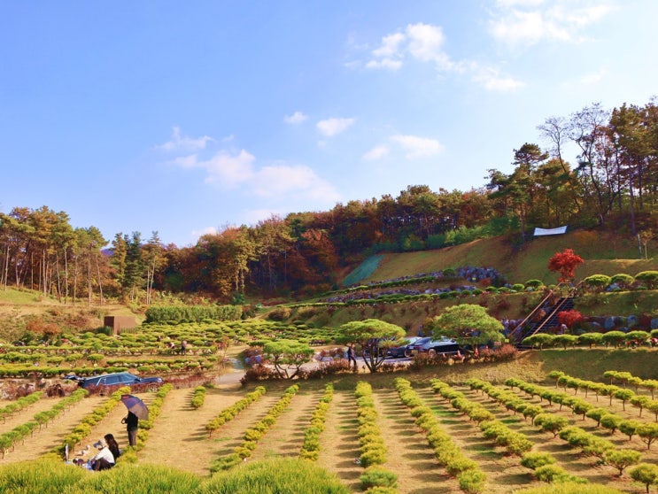  경기도수목장 똑똑히 확보하는 방법