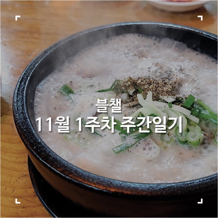 [블챌]맛집 탐방하다 지나간 11월 1주 차 주간 일기