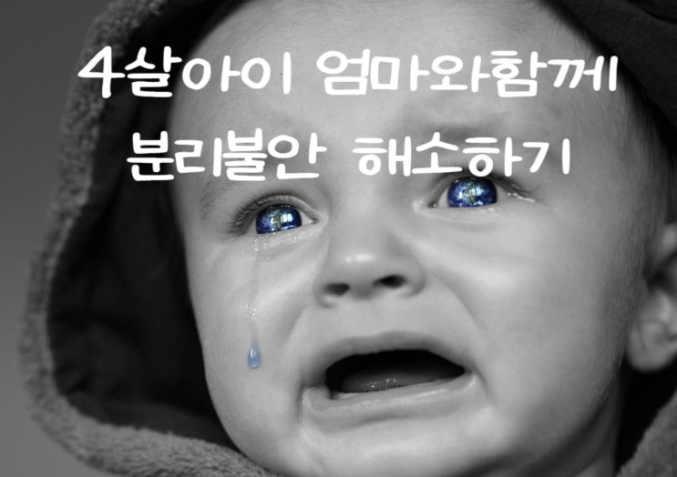  4살 갑작스러운 행동 변화 "분리불안" 떼쓰고 화내고 우는 아이와 초보 엄마의 이것저것 해결 방법 이야기