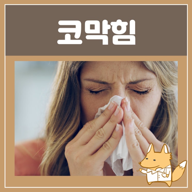  코막힘 뚫는자세 : 코막힘 약 슈다페드정 슈도에페드린 코가 막혔을때 건조할때