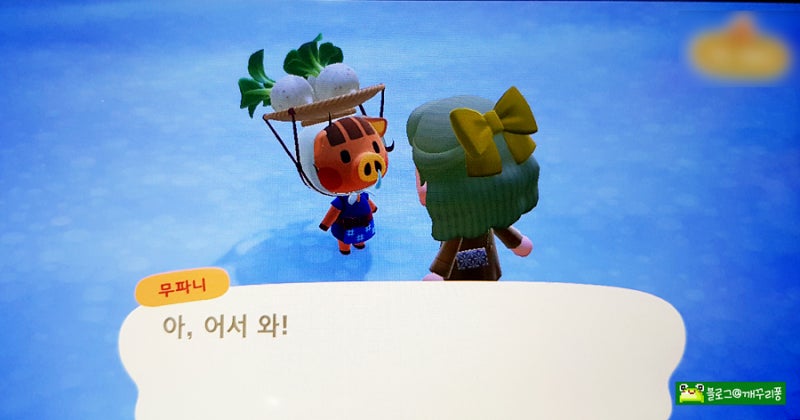 모동숲 무트코인 계산기 무값 예측 하는방법 무파니 시간 주의사항 : 네이버 블로그 모동숲 무트코인 계산기 무값 예측 하는방법 무파니 시간 주의사항 : 네이버 블로그