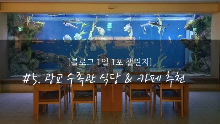 블백#5. 광교 수족관 식당 '수린' &  카페 '청수당 해림' 추천