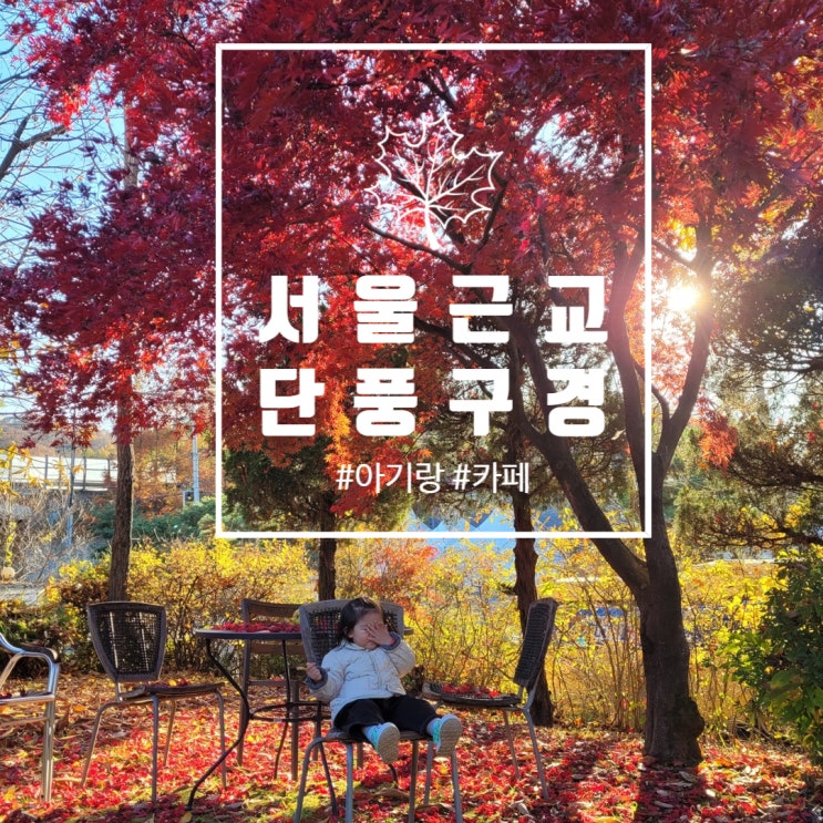  서울 근교 단풍 맛집인 용인 카페에서 아기랑 힐링하고 왔어요!(feat. 뉴욕커피아울렛)