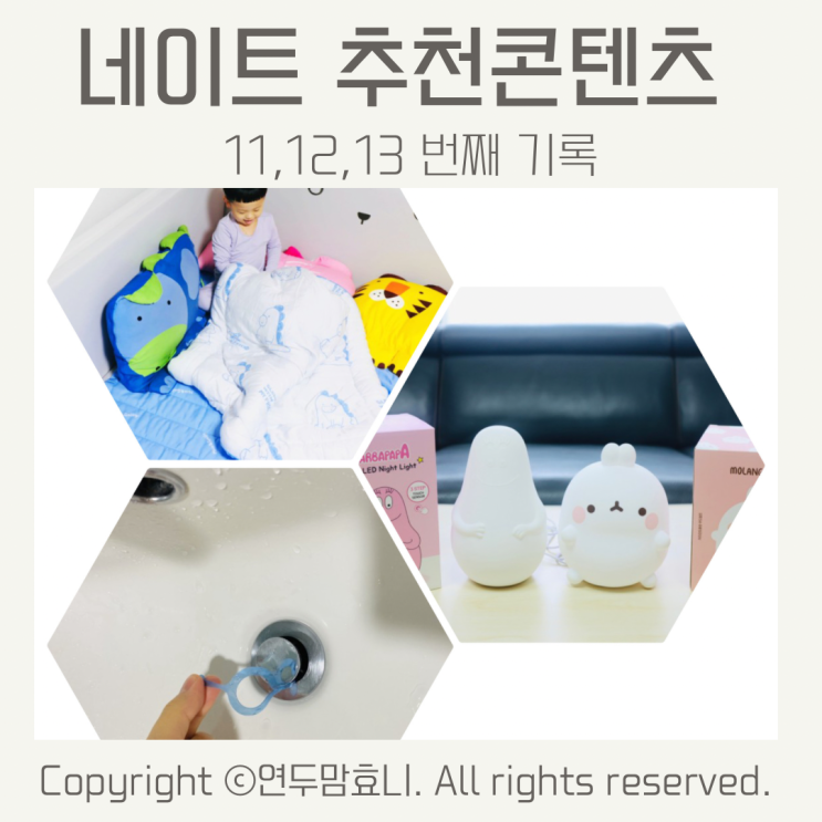 네이트 리빙푸드 추천콘텐츠 11, 12, 13번째 기록 네이트 리빙푸드 추천콘텐츠 11, 12, 13번째 기록