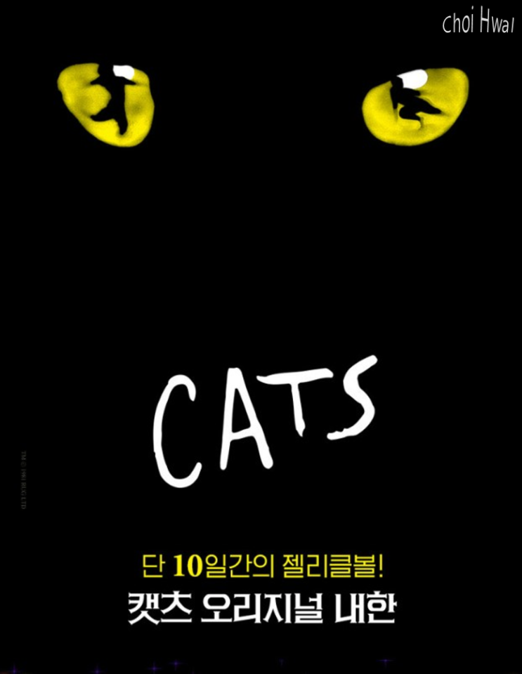  2023 뮤지컬 캣츠 부산 내한공연 기본 정보 및 티켓 오픈!