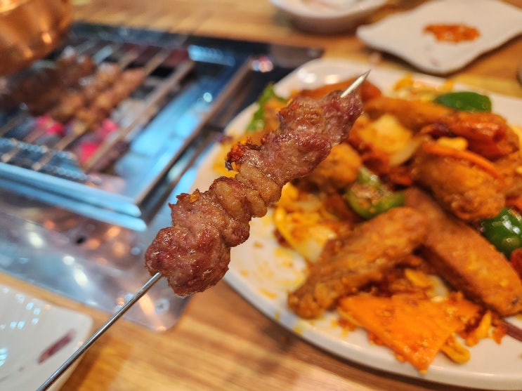  나성동 양꼬치 먹으러 한성양꼬치 향라닭날개와 닭염통까지