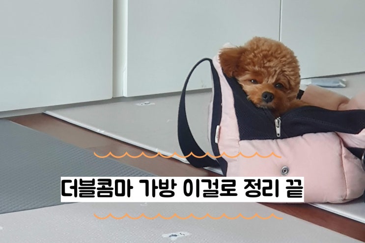  강아지 이동가방 더블콤마 콤마백, 콤투백, 더콤백 비교글 , 더블콤마 사이즈 고민 (업백, 히든백)