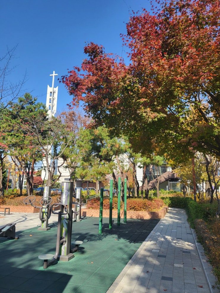  블백005. 오늘 하루 기록 (22.11.18)