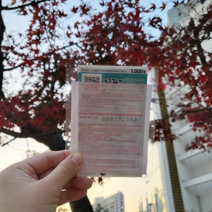  [잠실매점, 잠실역8가판] 로또 명당, 1등 17번 2등 72번?!