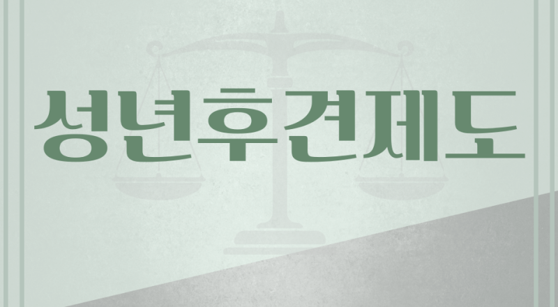 성년후견제도 관련 이미지 1
