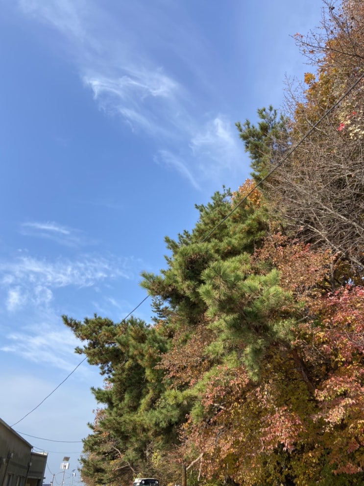  놓쳐도 괜찮아 금요일이니까~