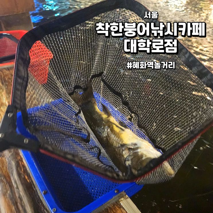  [서울/혜화역] 착한붕어낚시카페 대학로점 | 혜화역 놀거리 추천 (feat.혜화역 데이트)
