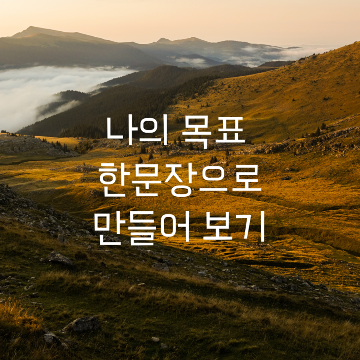  성공한 사람들의 삶을 통째로 먹었다. (목표 한 문장으로 만드는 방법)