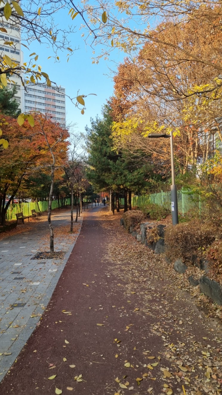 회사를 떠난 후  은퇴 라이프에서 권태가 생겼을 때  극복하는 방법