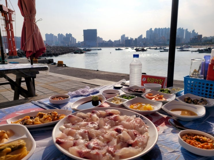  [울산 가볼만한곳] 일산지해수욕장 회센터 일산수산물판매센터, 해변 코앞에서 밀치 회 먹기️ (수산시장/오션뷰횟집)