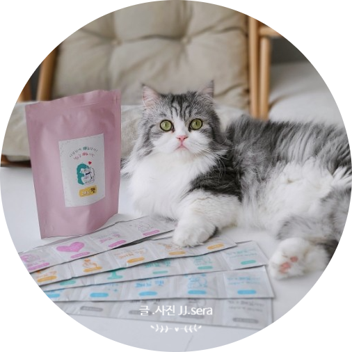 고양이 영양제 쾌뇨펫을 아시나요? 방광염과 요로결석 때문에 고민이라면 클릭 클릭!